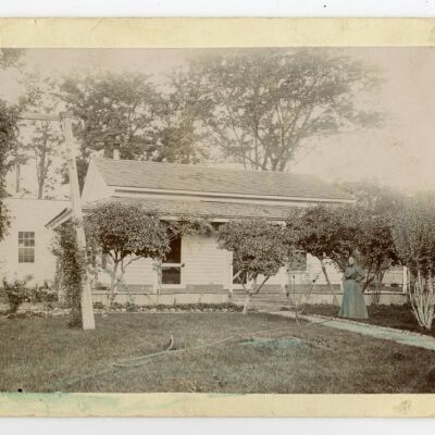 Print, Photographic