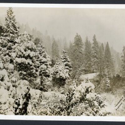 Print, Photographic
