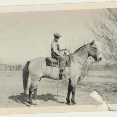 Print, Photographic
