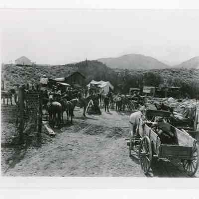 Print, Photographic