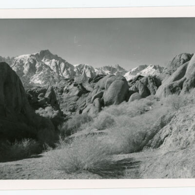 Print, Photographic