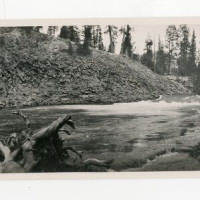 Print, Photographic