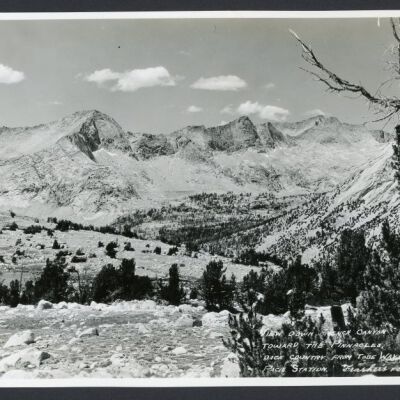 Print, Photographic