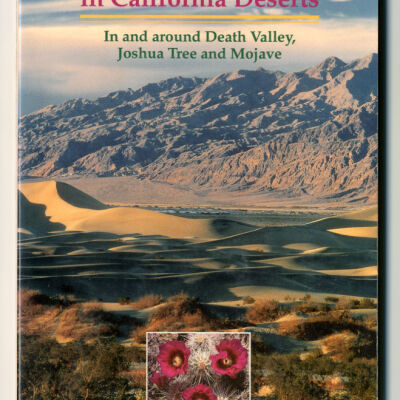 50 Best Short Hikes in California Deserts