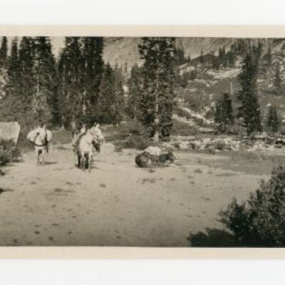 Print, Photographic