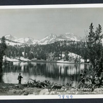 Print, Photographic