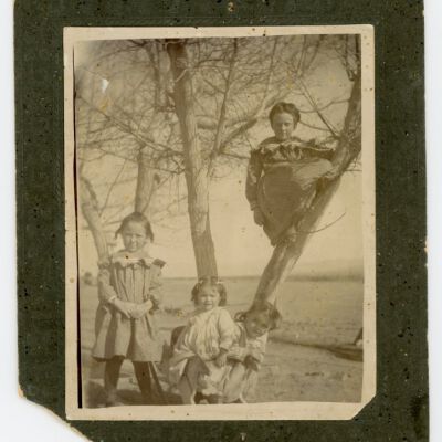 Print, Photographic