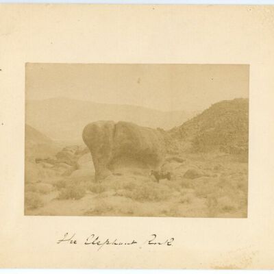 Print, Photographic