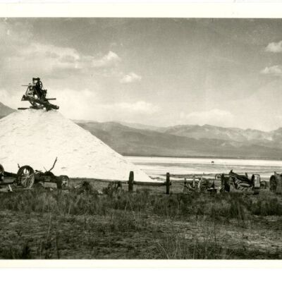 Print, Photographic