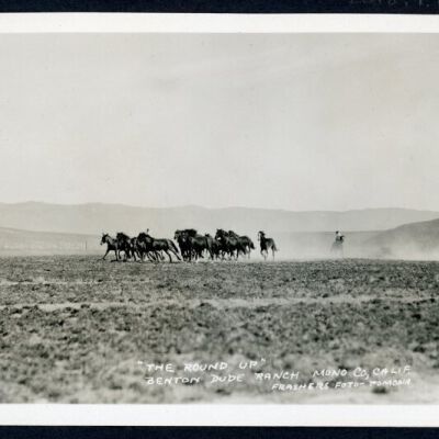 Print, Photographic