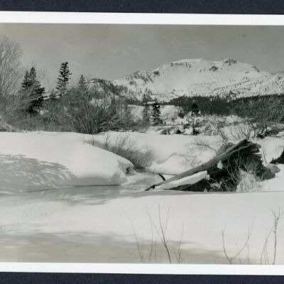 Print, Photographic