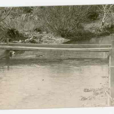 Lone Pine Creek