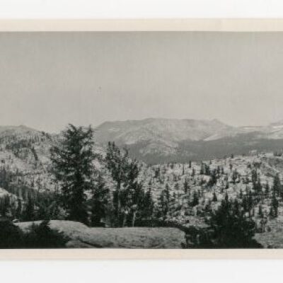 Print, Photographic