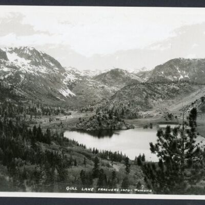 Print, Photographic