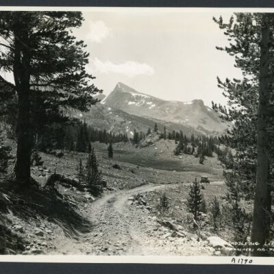 Print, Photographic