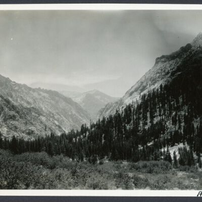 Print, Photographic