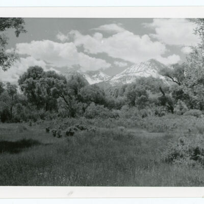 Print, Photographic