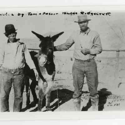 Print, Photographic
