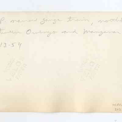 2025.8.12 reverse