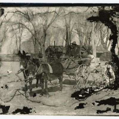 Print, Photographic
