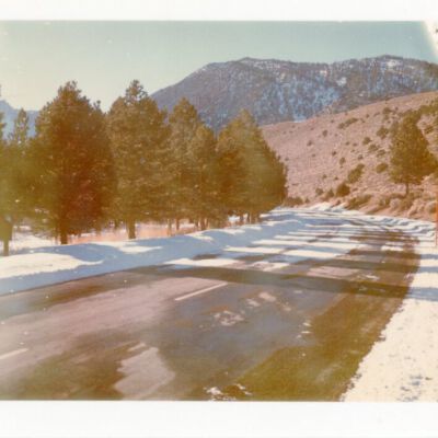 Print, Photographic