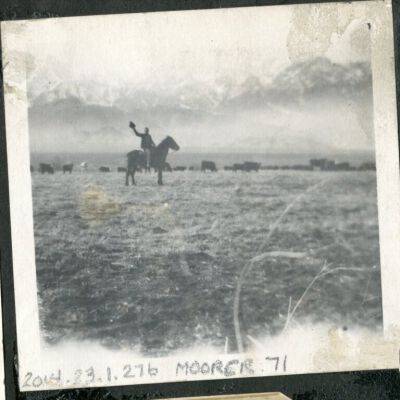 Print, Photographic