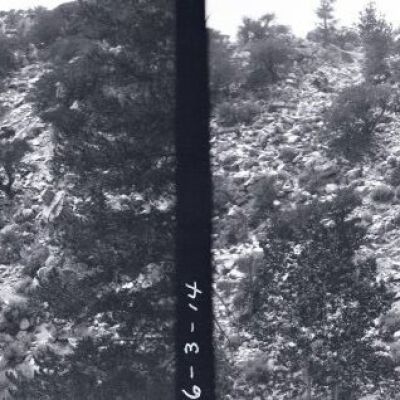 Negative