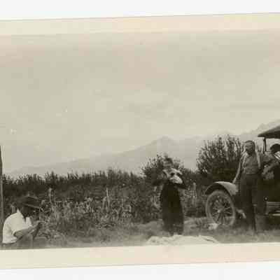 Print, Photographic