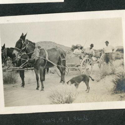 Print, Photographic