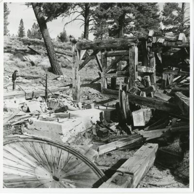 Print, Photographic