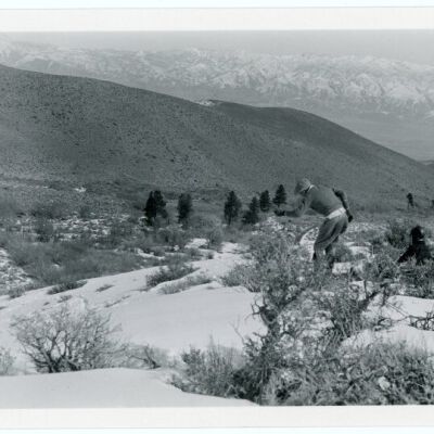 Print, Photographic