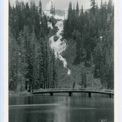 Print, Photographic