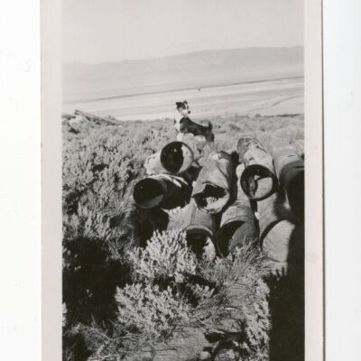 Print, Photographic