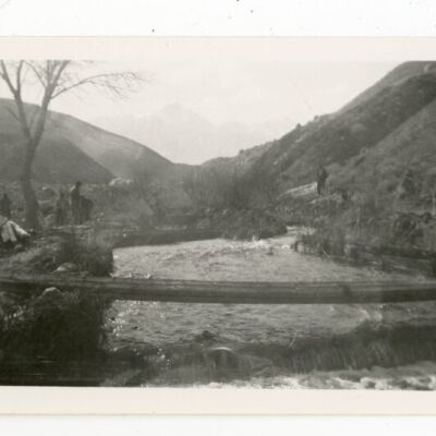 Print, Photographic