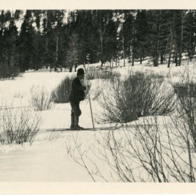 Print, Photographic