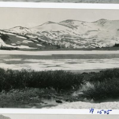 Print, Photographic
