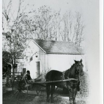 Print, Photographic