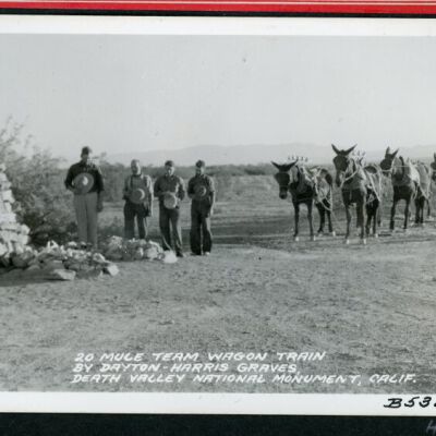 Print, Photographic