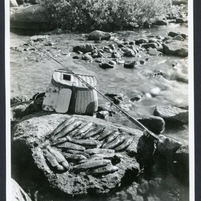 Print, Photographic