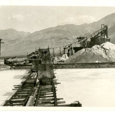 Print, Photographic