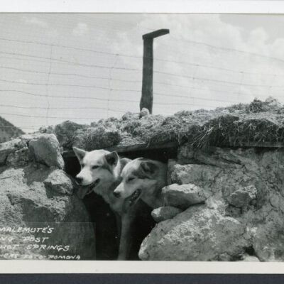 Print, Photographic