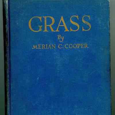 Grass