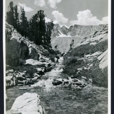 Print, Photographic