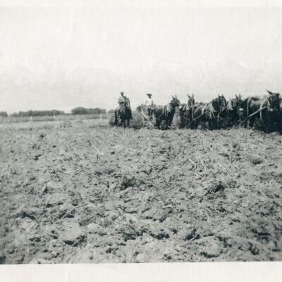 Print, Photographic