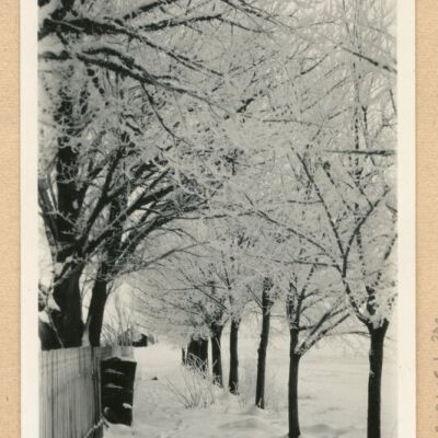 Print, Photographic