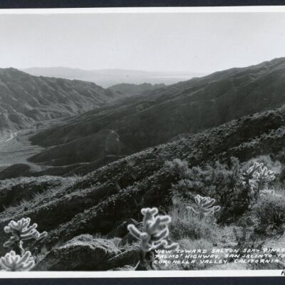 Print, Photographic