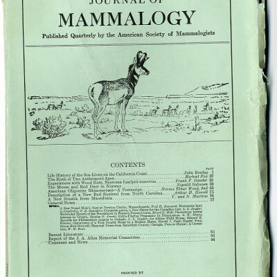 Journal of Mammalogy, Vol. 10, No. 1, February 1929