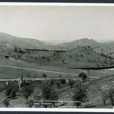 Print, Photographic