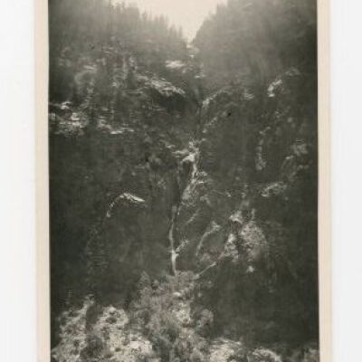 Print, Photographic