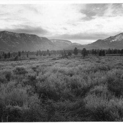 Print, Photographic